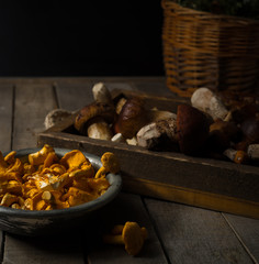 Fresh uncooked forest mushrooms on rustic wooden background, front view