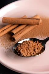 Spoon with cinnamon powder and sticks on plate, closeup