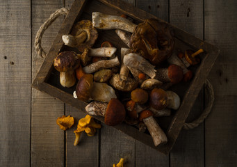 Fresh uncooked forest mushrooms on rustic wooden background, top view, horizontal orientation