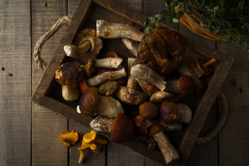 Fresh uncooked forest mushrooms on rustic wooden background, top view, horizontal orientation