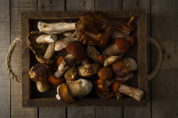 Fresh uncooked forest mushrooms on rustic wooden background, top view, horizontal orientation
