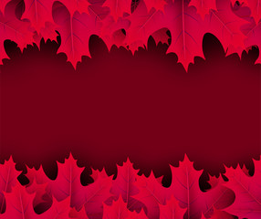 Autumn background with crimson maple leaves.