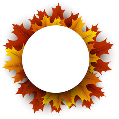 Autumn background with orange maple leaves.