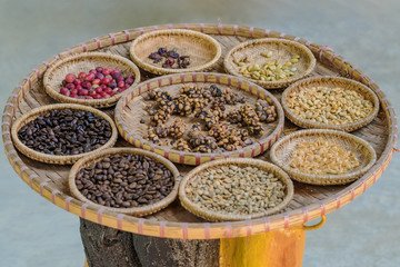 Luwak coffee, Kopi luwak is coffee that includes part-digested coffee cherries eaten and defecated by the Asian palm civet at coffee drying yard in Dalat, Vietnam.