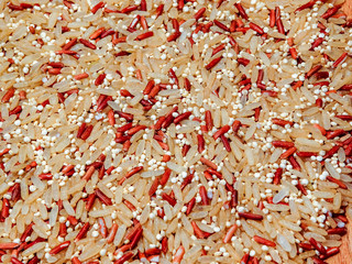 Mix red rice, complete rice, quinoa uncooked on wooden spoon and wooden surface 