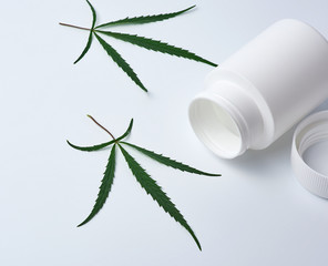 open empty white plastic medical jar for pills and green hemp leaf