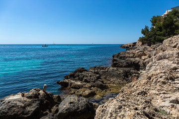 Fototapeta na wymiar rocky coast of Mallorca, Spain