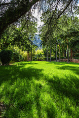 Picturesque landscape, green lawn in tropical garden