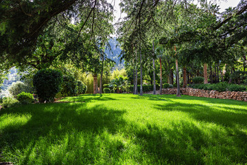 Picturesque landscape, green lawn in tropical garden