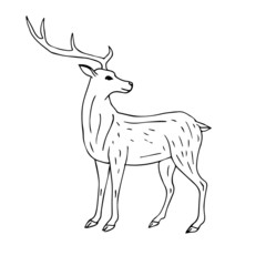 Vector hand drawn sketch forest deer isolated on white background