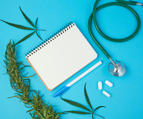 open notebook with white blank sheets, hemp twig with green leaves