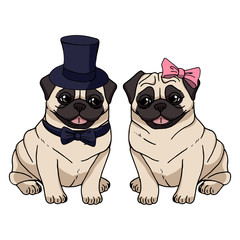 Obraz premium A couple of cute pugs isolated on white background. Vector dog illustration. Funny cartoon characters
