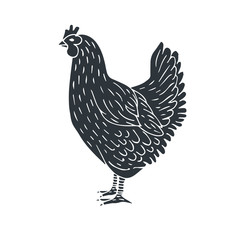 Vector hand drawn black sketch chicken isolated on white background