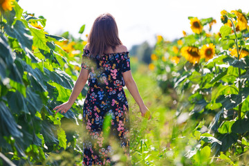 Happy woman turned backwards in the field of sunflowers