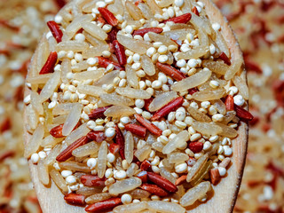 Mix red rice, complete rice, quinoa uncooked on wooden spoon and wooden surface 