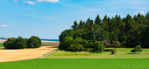 Asphalt road between meadows. Landscape between Niederwallmenach and Urbar, Germany
