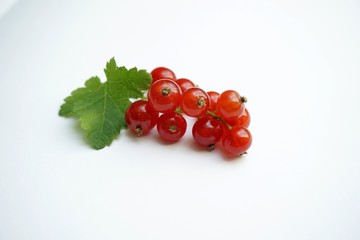 Czerwona porzeczka na białym tle © Anna