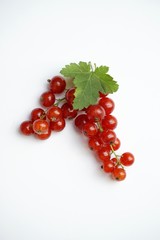 Czerwona porzeczka z listkiem na białym tle