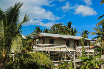 Fototapeta na wymiar Palms on the Beach with White sand under Wind and Blue Sky, Belize