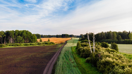 Aerial shot. Forest road going through  colorful field