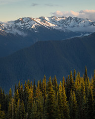 Olympic mountains at sunset, Olympic National Park, Washington