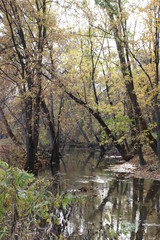 Late fall at Mud Creek Park, Fishers, Indiana