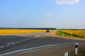 highway through a wheat field on the left and a field of sunflowers on the right
