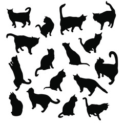 Set vector silhouettes of the cat, different poses, standing, jumping and sitting,  black color, isolated on white background