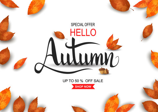 Autumn sale. vector illustration