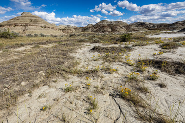 The Badlands of Albert in Canada