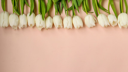 Flower row of fresh spring white tulips on a light pastel background, Copy space, horizontal orientation
