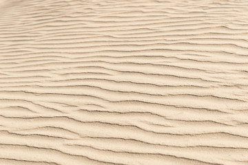nature backround of smooth sand wave texture