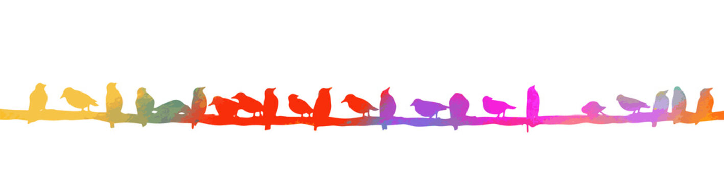 Colorful birds sit on wires. Vector illustration
