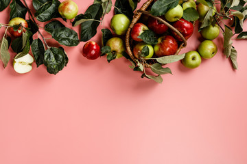 Flat-lay of fresh apples with leaves and branches on pink background