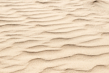 nature backround of smooth sand wave texture