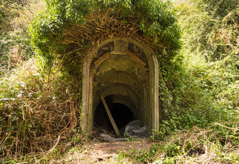 Overgrown WW2 concrete bunker entrance