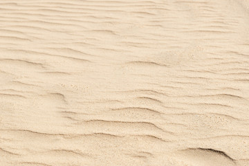 Obraz na płótnie Canvas nature backround of smooth sand wave texture
