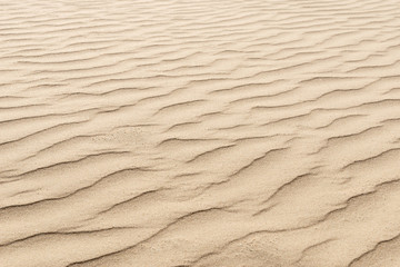 nature background of smooth sand wave texture