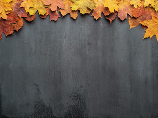 Seasonal autumn background. Frame of colorful maple leaves.