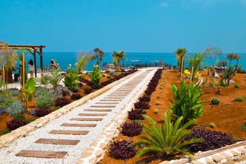 flowerbed and path made from wooden planks on blue sea background 