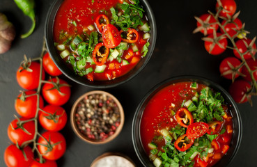 Traditional spanish cold tomato soup gazpacho on concrete background