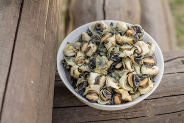 White plate with boiled peeled mussels on the logs. Home-cooked Black Sea mussels.