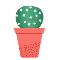 Vector illustration with potted cactus. Succulents