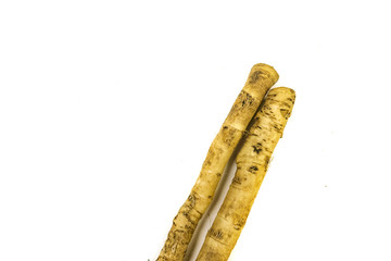 Fresh horseradish root isolated on white background