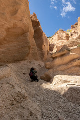 Lame Rosse