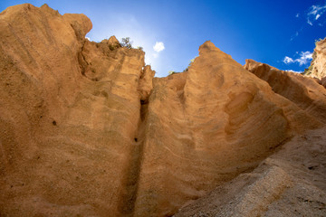 Fototapeta premium Lame Rosse