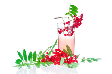 Glass with syrup and  branches ashberry on white background