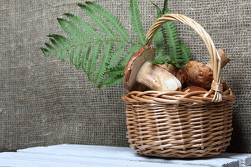 Wicker basket with porcini mushrooms and a bunch of blooming heather. Shot on a background of...