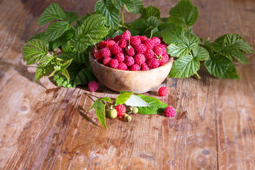 The harvest of wild raspberries in a wicker basket. Berry summer background beautiful table decoration
