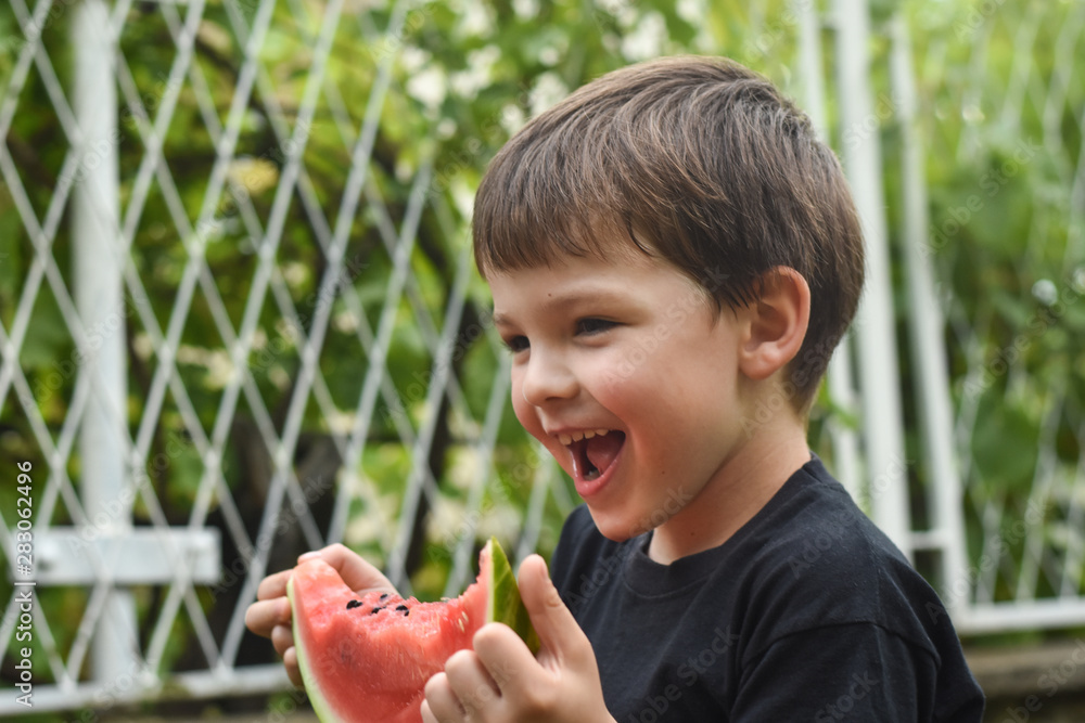 Wall mural Happy boy eating healthy watermelon in garden. Child with a big slice of watermelon